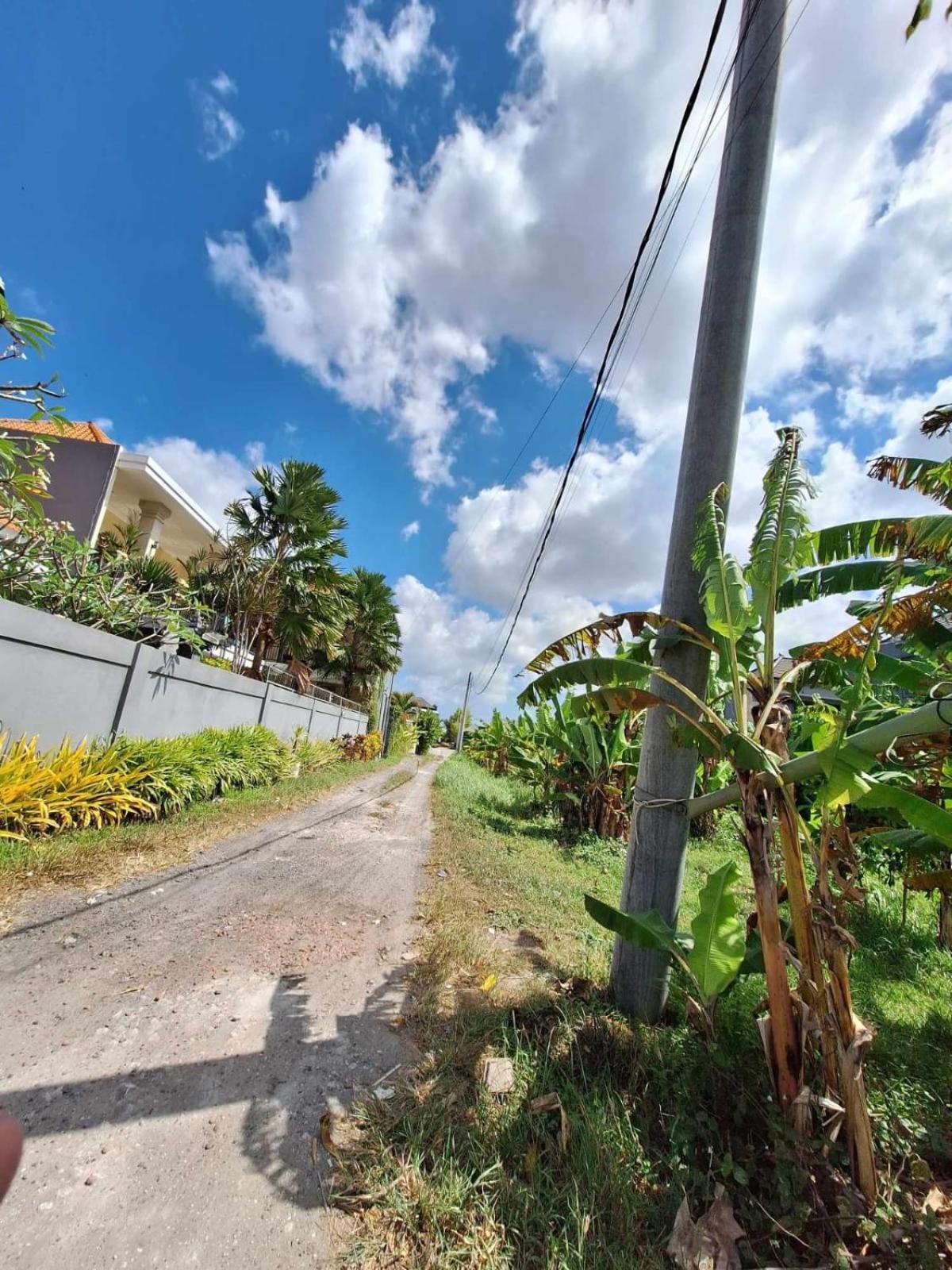 Bonewood Guesthouse Canggu Εξωτερικό φωτογραφία